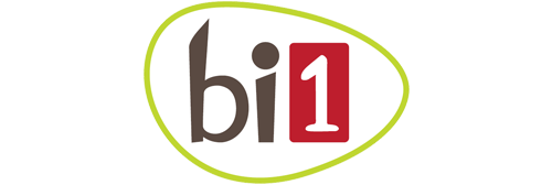 logo-bi1.png