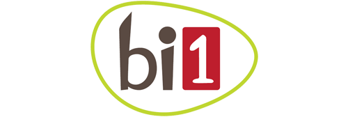 logo-bi1.png